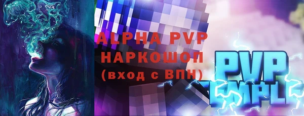 прущие грибы Бородино