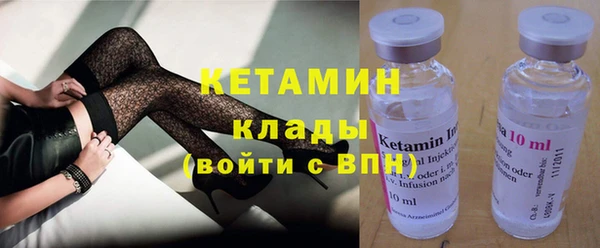 прущие грибы Бородино