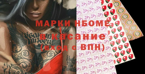 прущие грибы Бородино