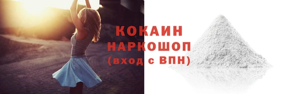 прущие грибы Бородино