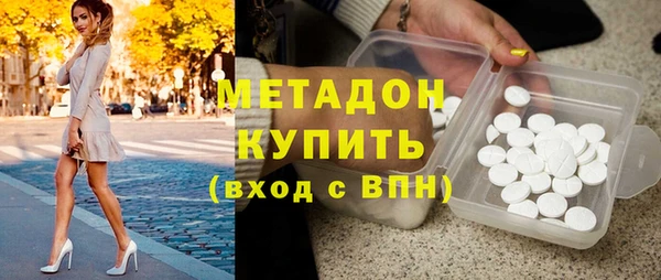 прущие грибы Бородино